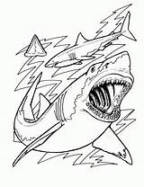 Tiburones Sharks Sharknado Pintar Bestcoloringpagesforkids Tiburón Everfreecoloring Requin Misterart sketch template