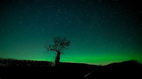 night   sky  green     flickr