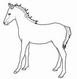 Pony Welsh Kleurplaat Kleurplaten Paarden Disegnare Printen Stampare Categorieën sketch template