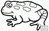 Frog Coloring Pages Colouring Toad Clipart Printable Kids Tree Frogs Cliparts Spots Green Library Clipartmag Dot Amphibian Animal sketch template