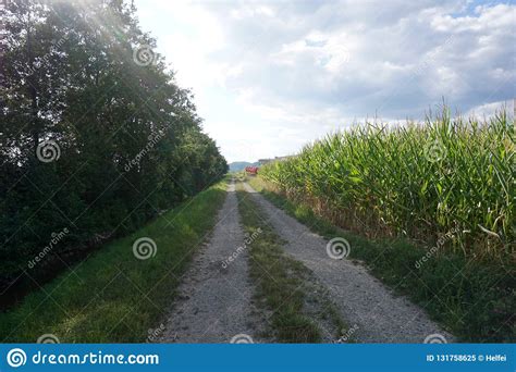 The Extreme Heat In Germany Stock Image Image Of Field Germany