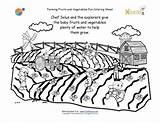 Coloring Crops Printable Pages Farm Kids Vegetables Growing Grow Fruits Farming Sheet Water Nutrition Need Plants Food Activities Farmers Fork sketch template