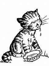 Poes Melk Kleurplaten Poezen Dieren Katten Katze Huilt sketch template