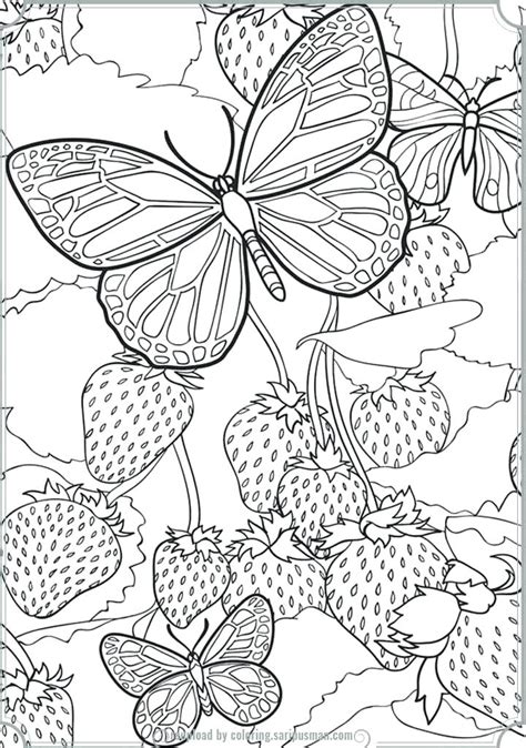 intricate butterfly coloring pages  getcoloringscom  printable