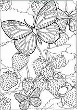Coloring Butterfly Pages Detailed Intricate Printable Getcolorings Color Print Getdrawings sketch template