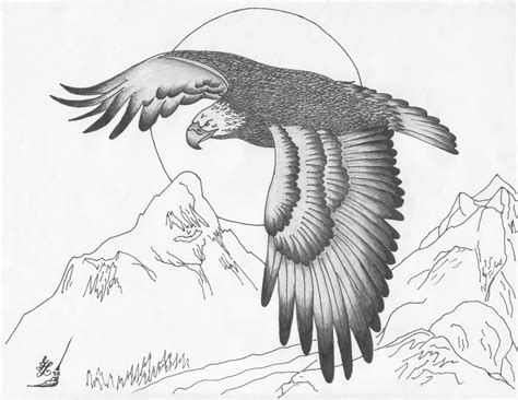 flying eagle drawing  getdrawings