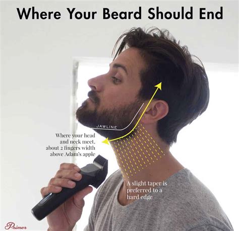11 beard growing and grooming tips noobs get wrong primer