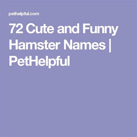 72 Cute And Funny Hamster Names For Males And Females Hamster Names