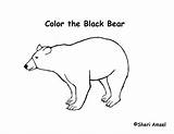 Bear Pages Coloring Louisiana Color American Getcolorings Popular sketch template
