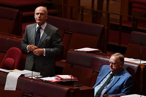 37 things that happened during the senate s colourful same sex marriage debate