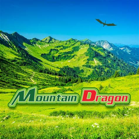 mountain dragon