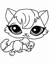 Coloring Pages Big Cute Eyes Animals Cat Animal Eyed Eye Cats Pet Preschool Printable Female Drawing Color Sheets Dolls Kids sketch template