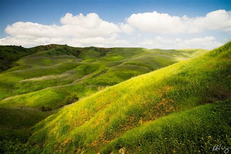 chino hills state park photo richard wong photography