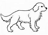 Coloring Pages Dog Printable Mean Dogs Getdrawings sketch template