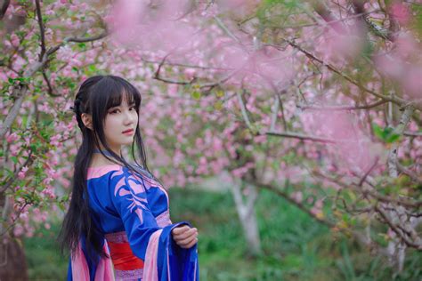 asian model women long hair dark hair cherry blossom trees traditional