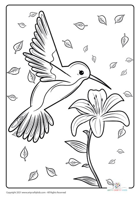 coloring pages  birds