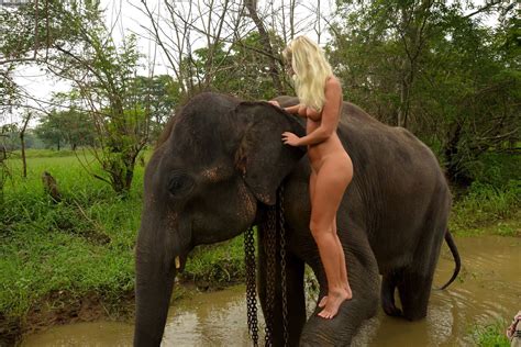 elephant ride erotic amateur art