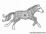 Coloring Horses sketch template