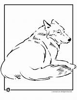 Coloring Wolf Pages Husky Siberian Sheet Line Library Clipart Popular sketch template