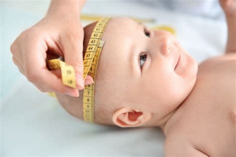 small childs head circumference pathological  transient