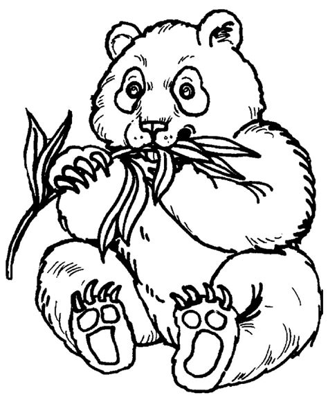 zoo animals coloring pages  coloring pages  kids