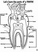 Teeth Tooth Dentist Molar Pediatric sketch template