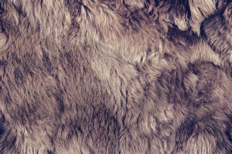 texture  brown fur stock photo image  ornate coat