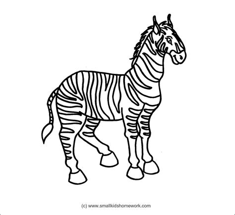zebra outline picture outline pictures coloring pictures zebra