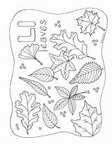 Leaves Page5 Knots sketch template