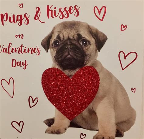 cute pug valentines card  love pugs