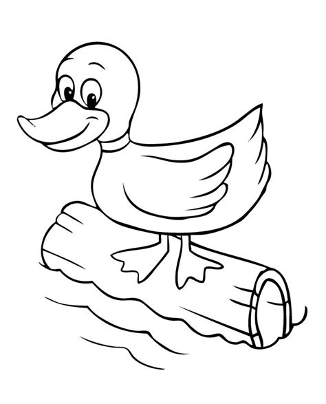 animal templates  premium templates animal coloring pages
