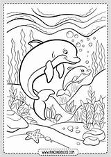 Delfines Paisajes Rincondibujos Navegación sketch template