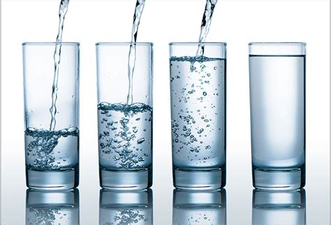 busting myths about water intake women s and men s