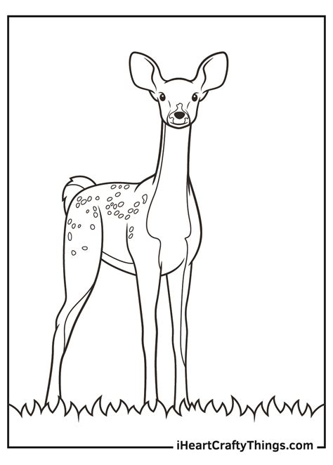 realistic coloring pages