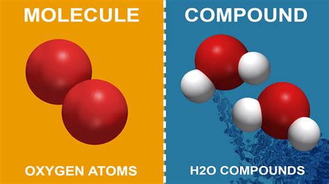 difference   molecule  compound  simple yourdictionary