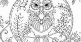 Owl Enchanted Forest Coloring Adult sketch template