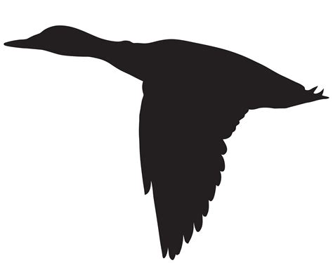 duck flying silhouette