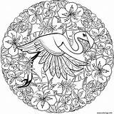 Adamchuk Lesya Flamingo sketch template