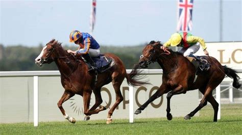 Royal Ascot Love Wins Prince Of Waless Stakes For Aidan Obriens