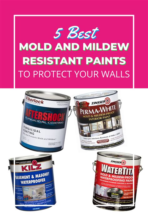 mold  mildew resistant paints  protect  walls   mold  mildew mildew