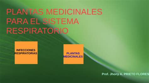 vagabundo trampolín corrección sistema respiratorio en las plantas