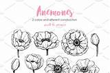 Anemone sketch template