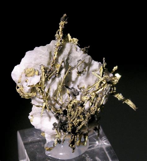 natural wire gold gold specimens arkenstone fine minerals mineral