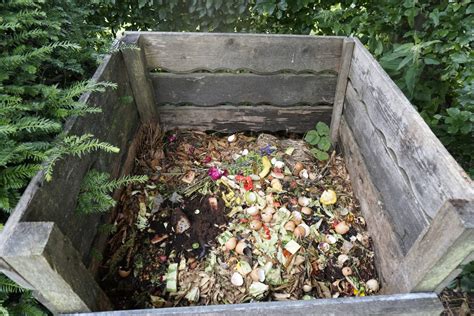 kompost mit kalk bestreuen alles  du wissen musst