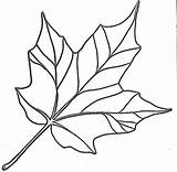 Leaf Coloring Pages Color Leaves Maple Printable Template Fall Leave Comments Stencils sketch template