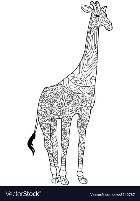 giraffe coloring book  adults royalty  vector image