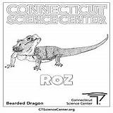 Roz Coloringpages Connecticut sketch template