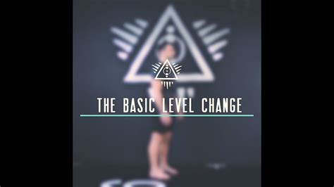 basic level change youtube