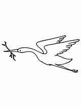 Crane Bird Coloring Pages Beak Branch Its Netart sketch template