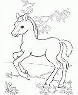 Horse Coloring Pages Printable Baby Cute Color Spirit Kids Print Drawing Disney Lego Pretty Stallion Horses Friends Detailed Getdrawings Cimarron sketch template
